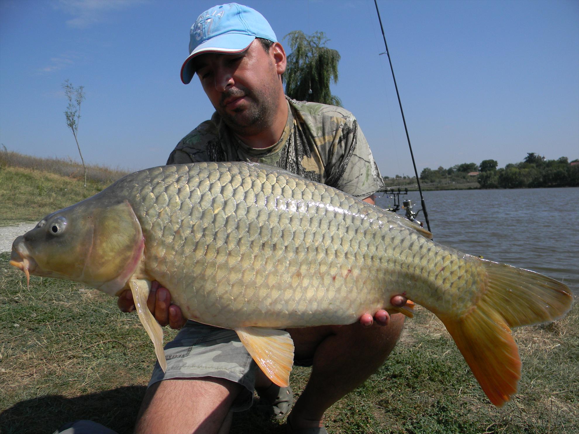 Capturi - dscn1006.jpg